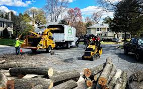 How Our Tree Care Process Works  in Key Center, WA